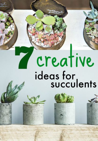 7 creative ideas for decorating with succulents 