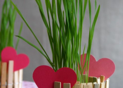 clothespin planter