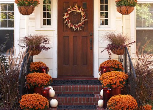 fall mums