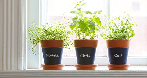 Gratitude Planter