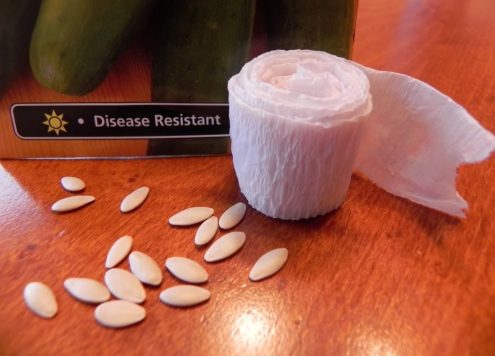 homemade seed tape
