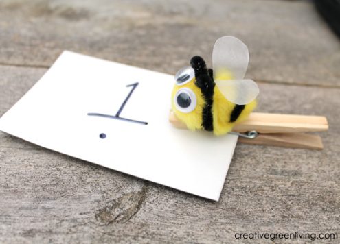 pom pom bee