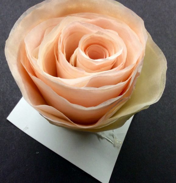 image_1