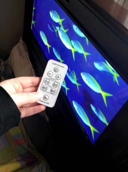 Lightheaded Bed remote