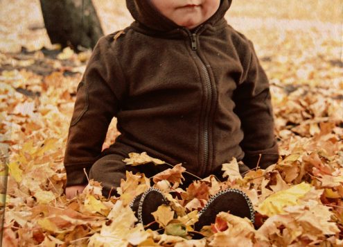 moose costume