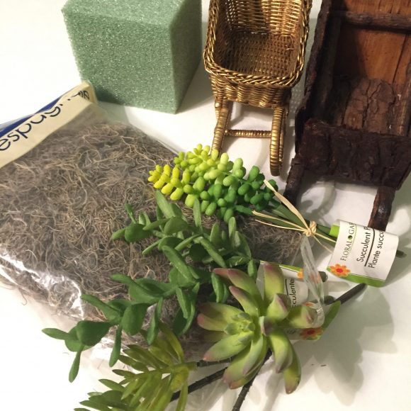 Succulent Sleighs 1