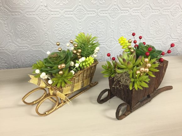 Succulent Sleighs 7