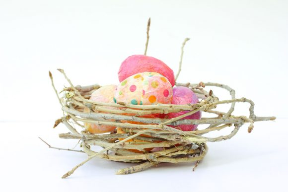 Twig Bird Nest