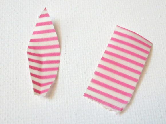 washi ears