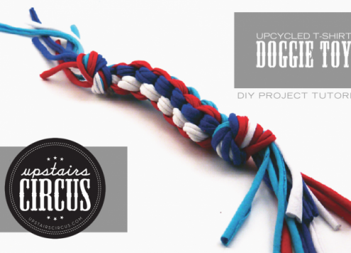 DIY dog toy